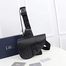 ディオール スーパーコピー ミニハンドバッグ AND PETER DOIG SADDLE バッグ 1ADPO093