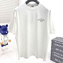 ディオール コピー Tシャツ CD 刺繍 コラボ ライオン オーバーサイズ dex24232