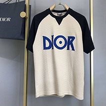 ディオール 偽物 ロゴTシャツ カラーブロッキング dex03723