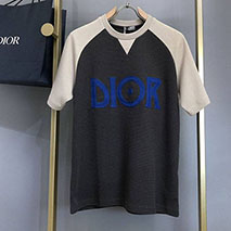 ディオール スーパーコピー ロゴTシャツ カラーブロッキング den15276