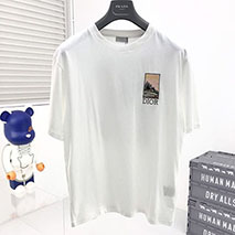 ディオール コピー Tシャツ リネン コットンジャージー det96225
